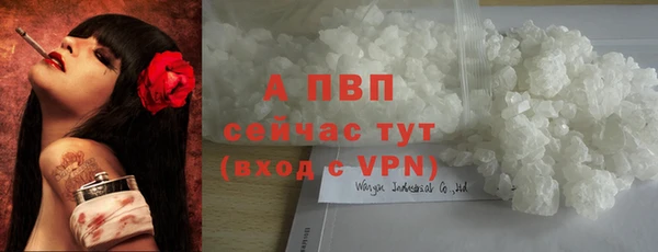 молекула духа Богородицк