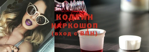 молекула духа Богородицк