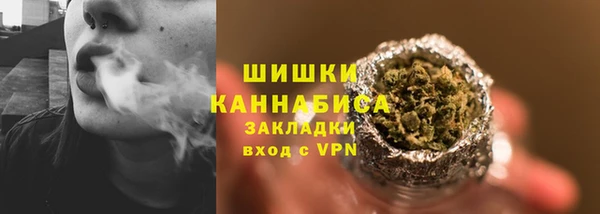 молекула духа Богородицк
