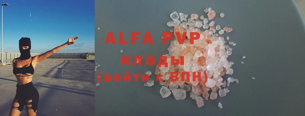 молекула духа Богородицк