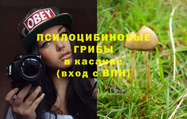 амфетамин Богданович