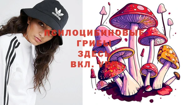 молекула духа Богородицк