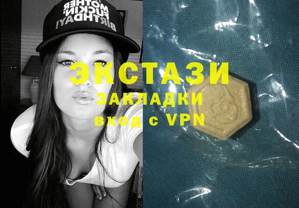молекула духа Богородицк